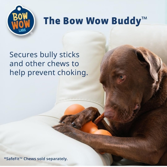 Bow Wow Labs Bow Wow Buddy Safety Device, Bully Stick Holder for Dogs - Picture 1 of 11